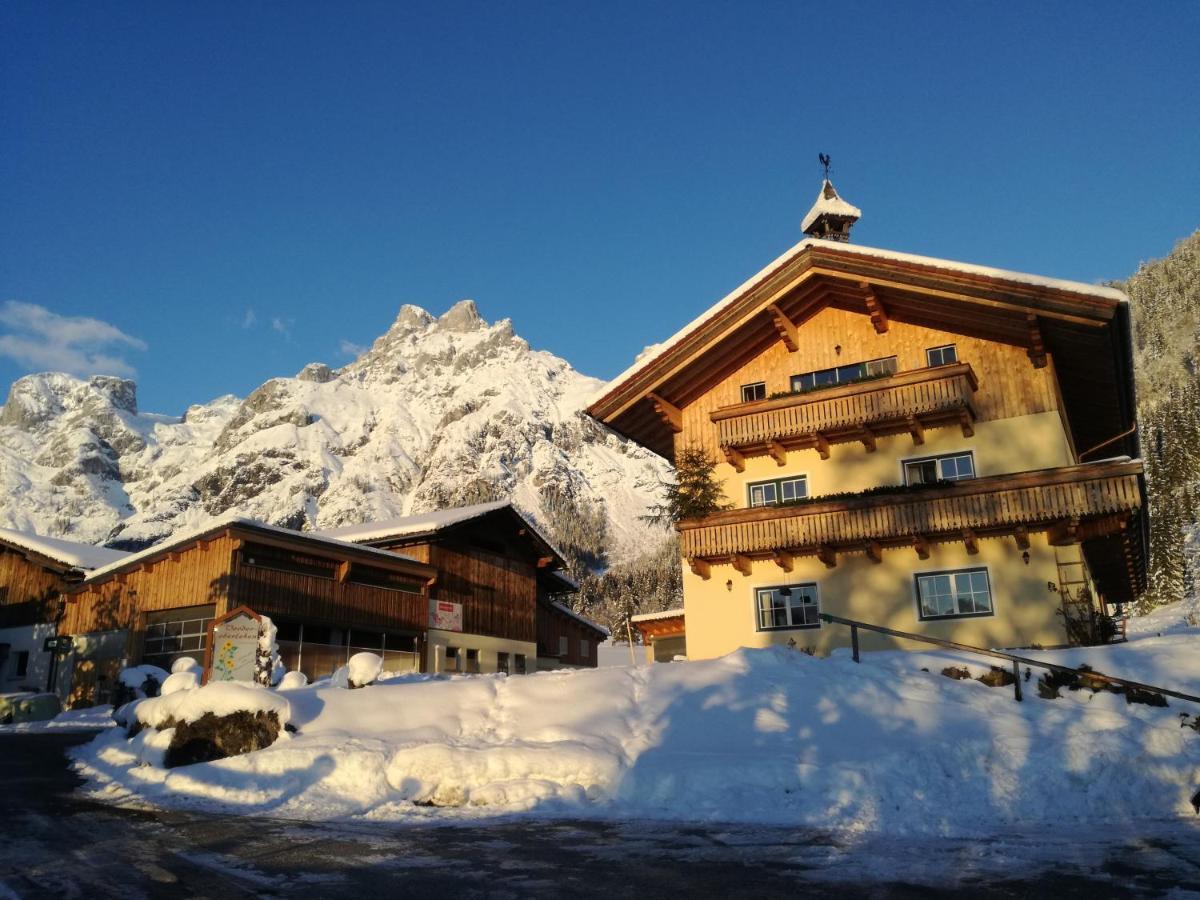 Bio Bauernhof Vorderoberlehen Hotell Werfenweng Eksteriør bilde